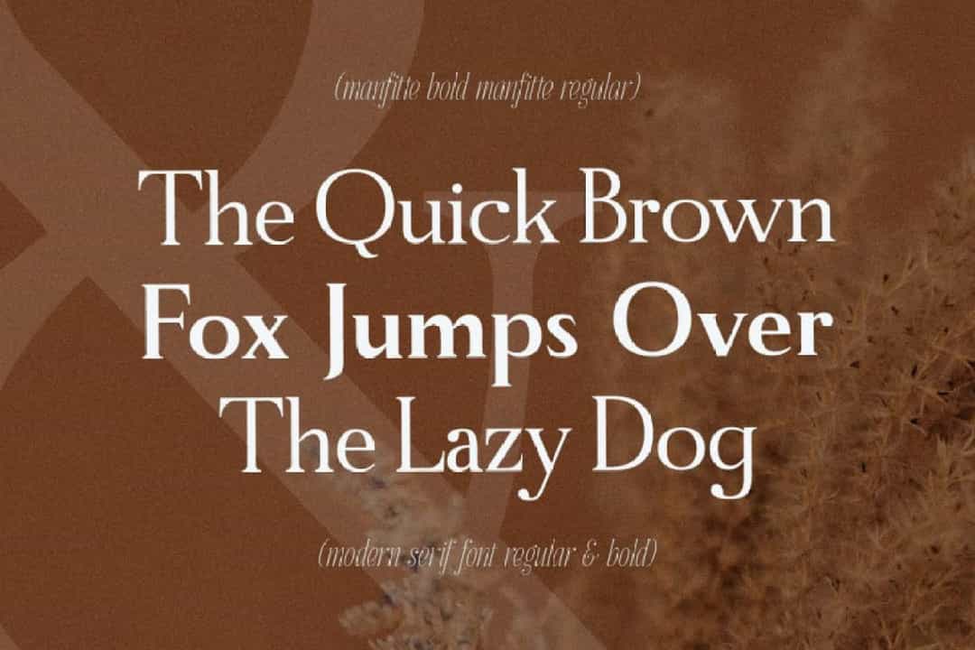 Manfitte Font Image 2