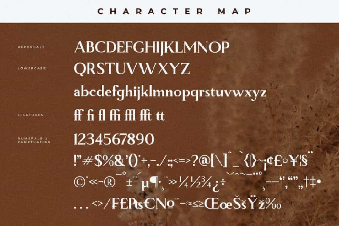 Manfitte Font Image 3