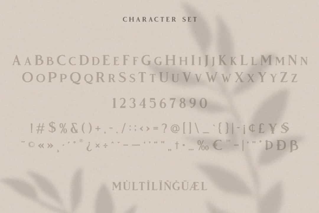 Vendeur Font Image 3