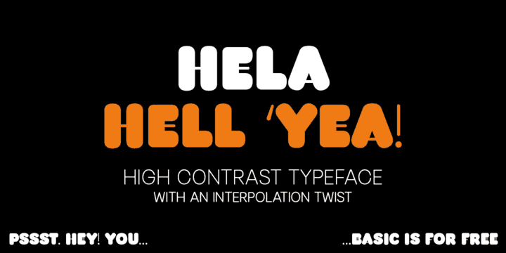 Hela Dysplay Font Family Image 1