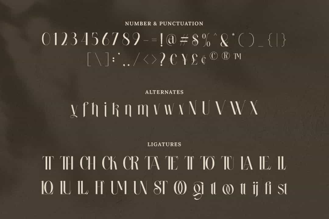 Wastogi Font Image 3