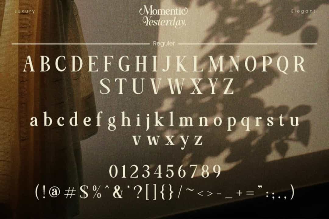 Momentic Yesterday Font Image 3