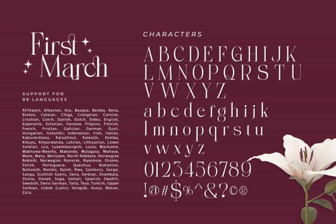 First March Font Image 3