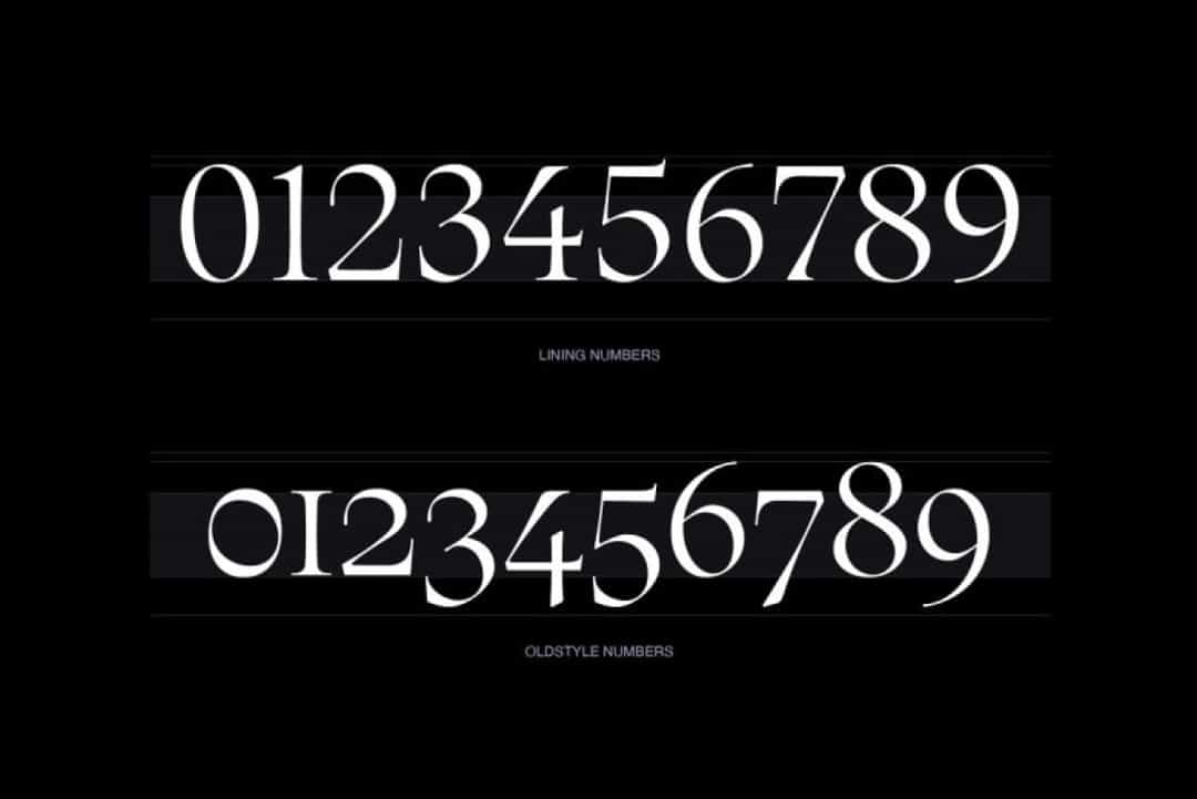 Xilene Font Image 3
