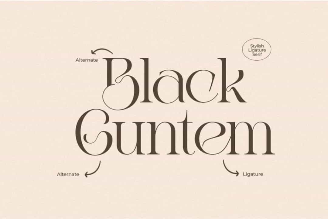 Rose Angel Font Image 2