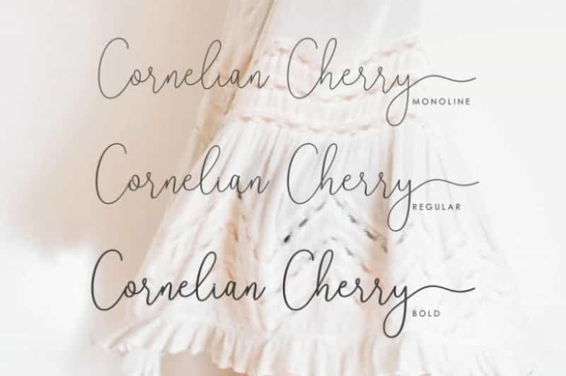 Reading Signature Font Free Image 2