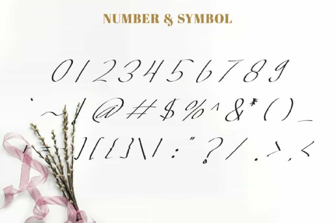 Long Knive Calligraphy Font Image 2