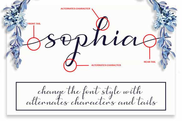 Simphony Calligraphy Font Image 3