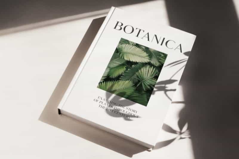 Equinox Font Duo Image 2