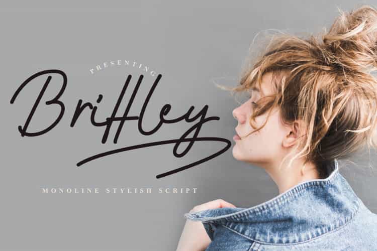 Brittley Monoline Script Font Image 1