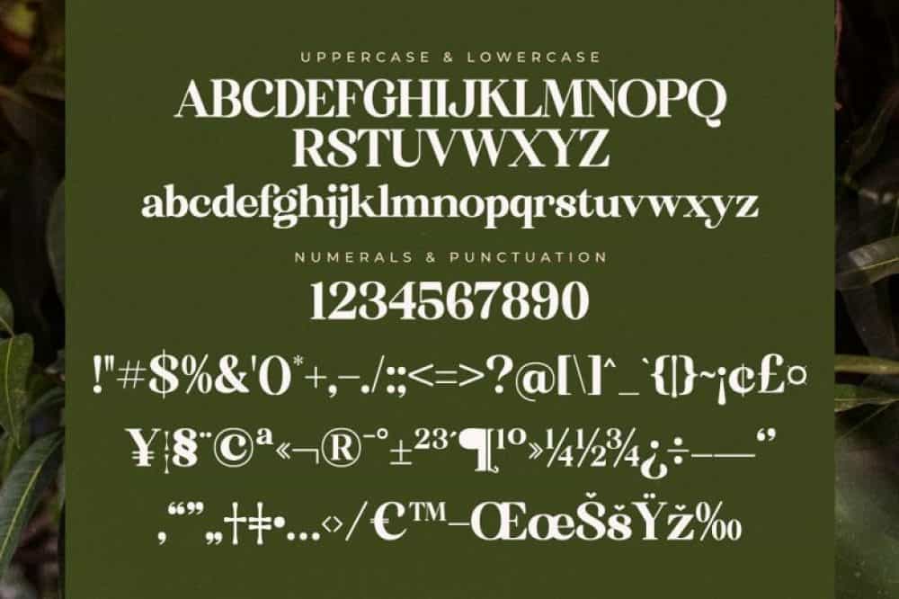 Florista Mango Font Image 3