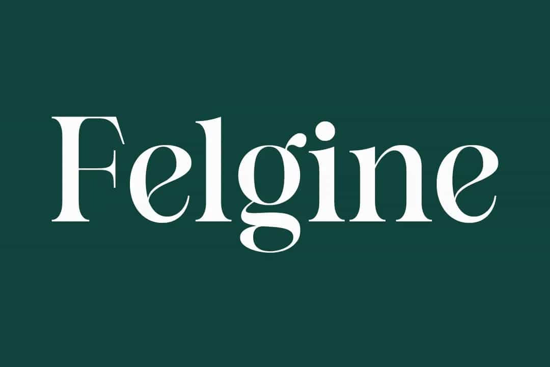 Felgine Font Image 1