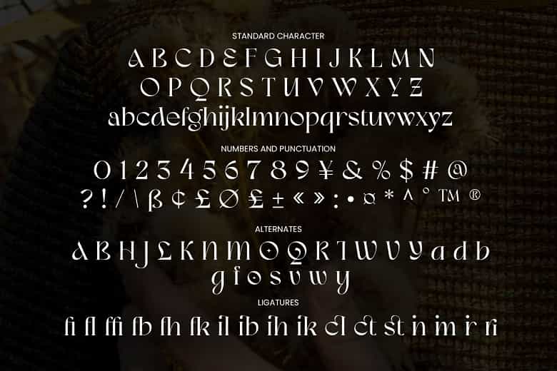 Meisha Nagita Font Image 3
