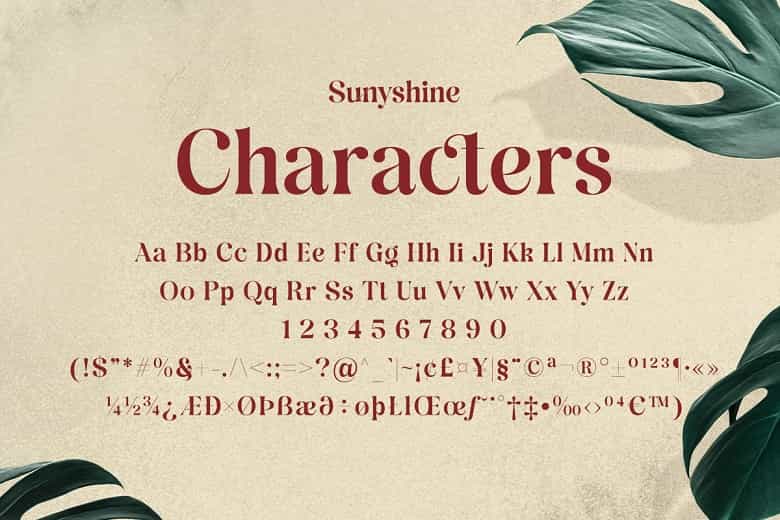 Sunyshine Font Image 3
