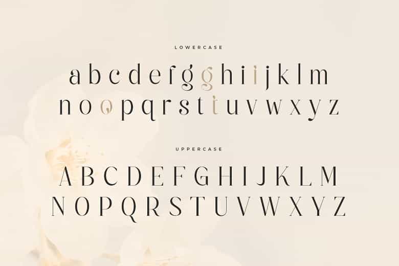 Jenifer Font Image 2