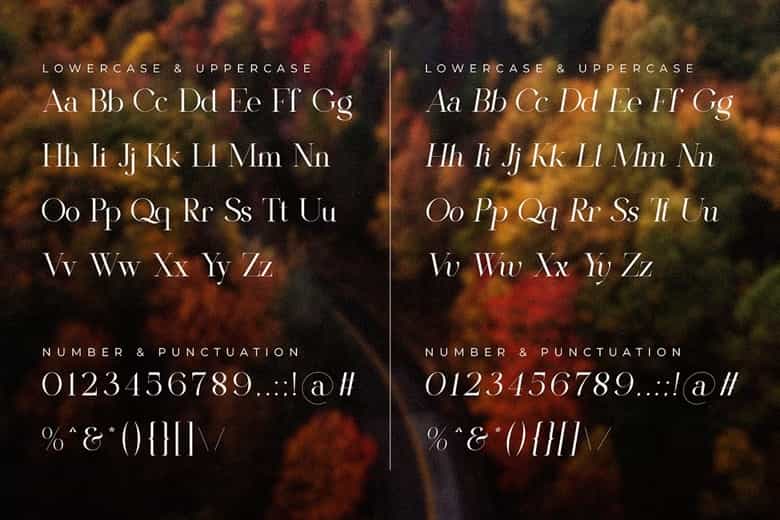 The Shyte Font Image 3