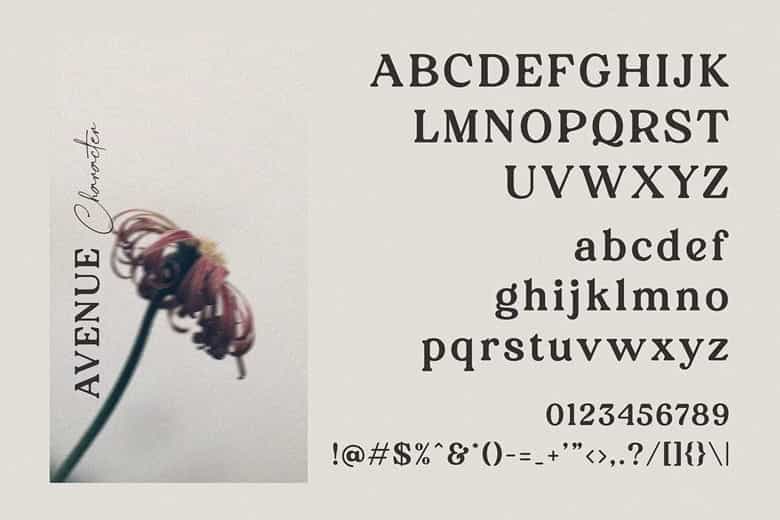 Cerita Avenue Font Image 2