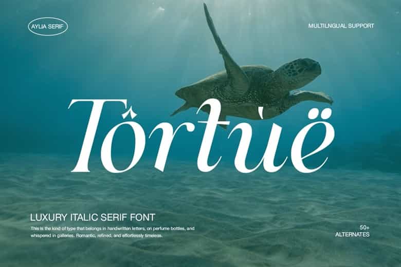 Aylia Font Image 176