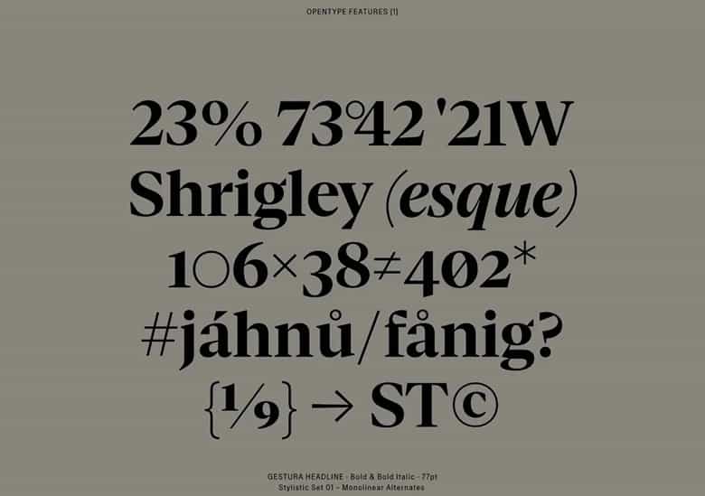Gestura Font Family Image 3