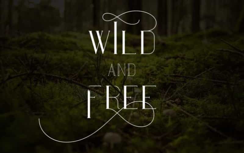 Maria Serif Font Image 3