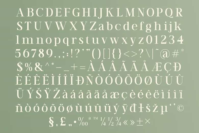 TT Vermolin Font Family Image 9
